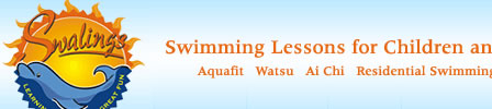 Photo of Swalings Website