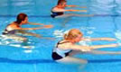 Photo of Swalings Website